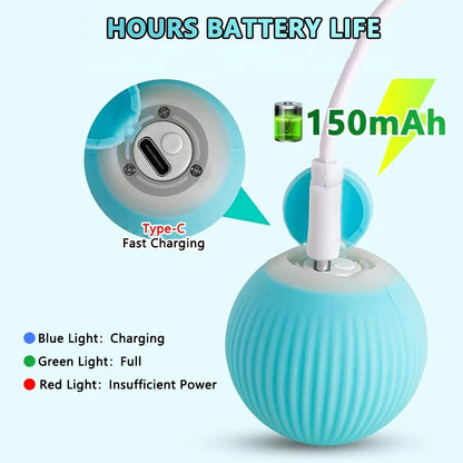 Smart Interactive Rolling Ball for Cats – Automatic Motion Toy for Indoor Play & Exercise